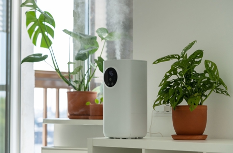 A white humidifier emits mist next to potted houseplants on a shelf.